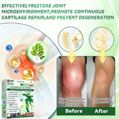 🔥 New Release | Slimoly® 20-IN-1 Advanced Nano Microneedle Patch  Moringa × Berberine × NMN/NAD+ Multi-Action Formula