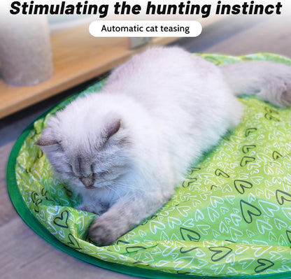 NESLEMY™ Cat Hide & Seek Game — Interactive Self-Rolling Hunting Toy for Indoor Cats