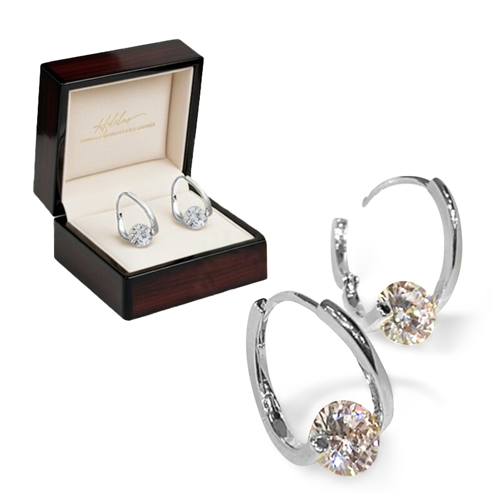 🔥LAST DAY SALE-80% OFF)Histone Lymphvity MagneTherapy Germanium Earrings