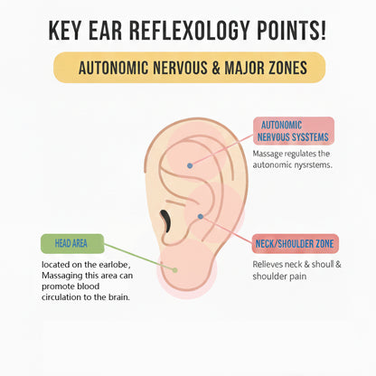 🔥LAST DAY SALE )Histone Lymphvitic MagneTherapy 💕 Classic Round-Cut Germanium Earrings
